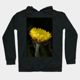 Everlasting Hoodie